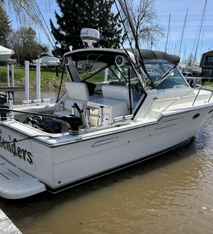 Fish on, Lake Ontario style!